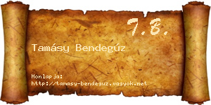 Tamásy Bendegúz névjegykártya